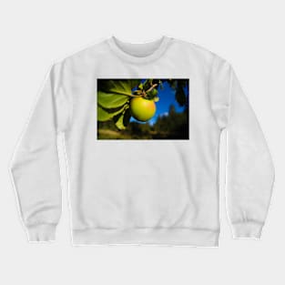 alb apple Crewneck Sweatshirt